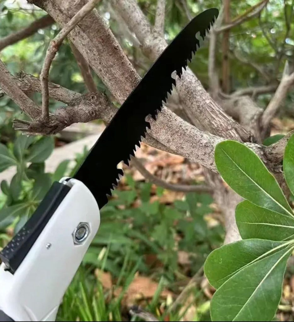 Testera