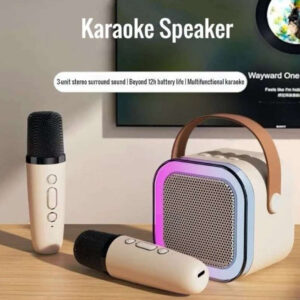 Bluetooth karaoke zvucnik sa 2 mikrofona -zvucnik K12