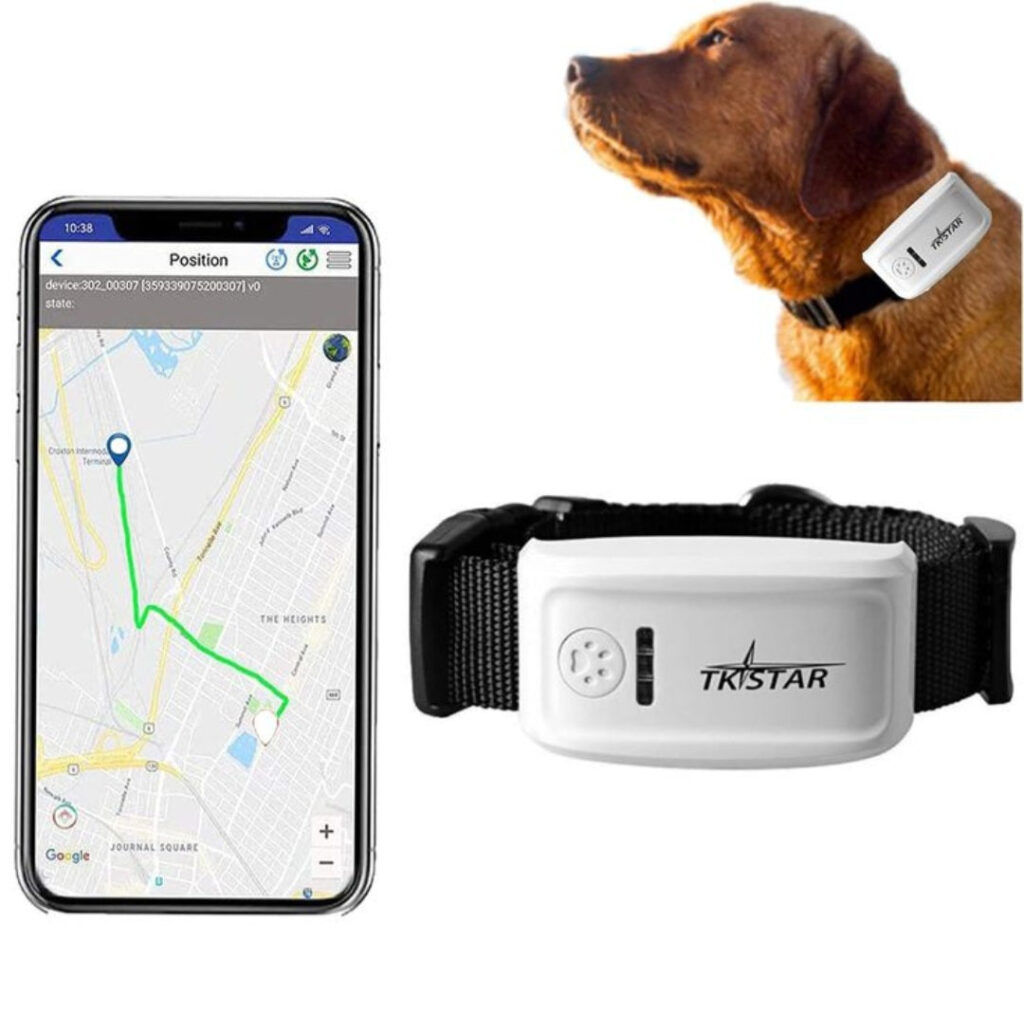 Oglica GPS za pracenje pasa TKSTAR